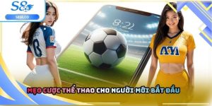 Mẹo cược thể thao cho người mới bắt đầu